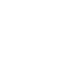 Group Parties